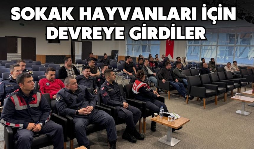 Sokak Hayvanları İçin Devreye Girdiler