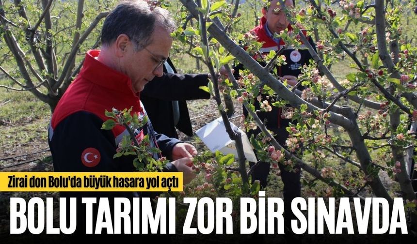 BOLU TARIMI ZOR BİR SINAVDA