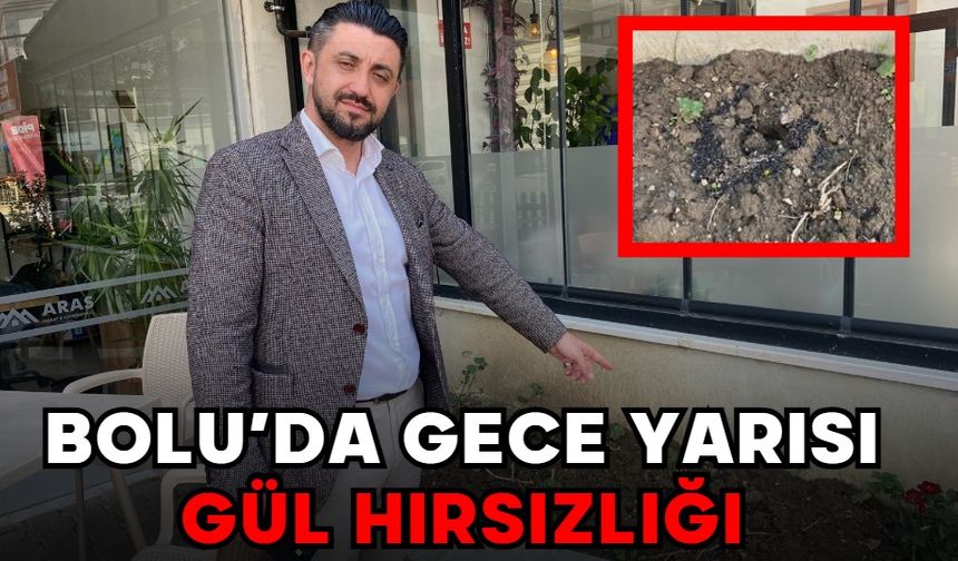 BOLU’DA GECE YARISI GÜL HIRSIZLIĞI