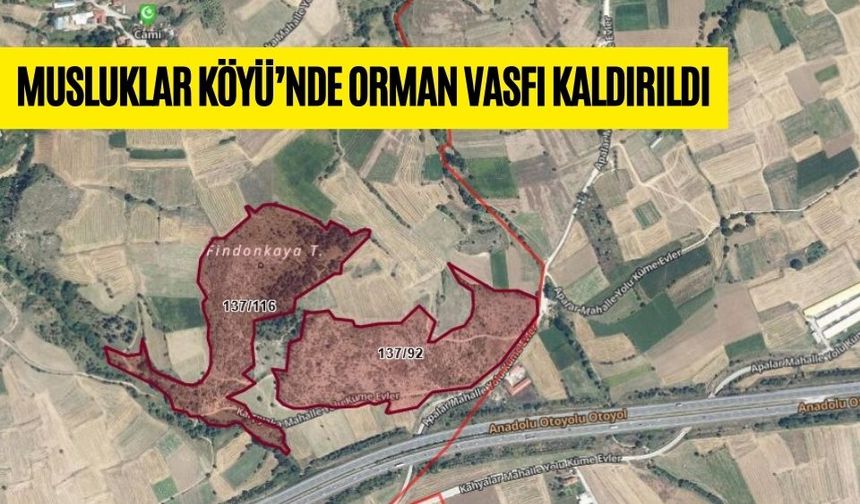 MUSLUKLAR KÖYÜ’NDE ORMAN VASFI KALDIRILDI