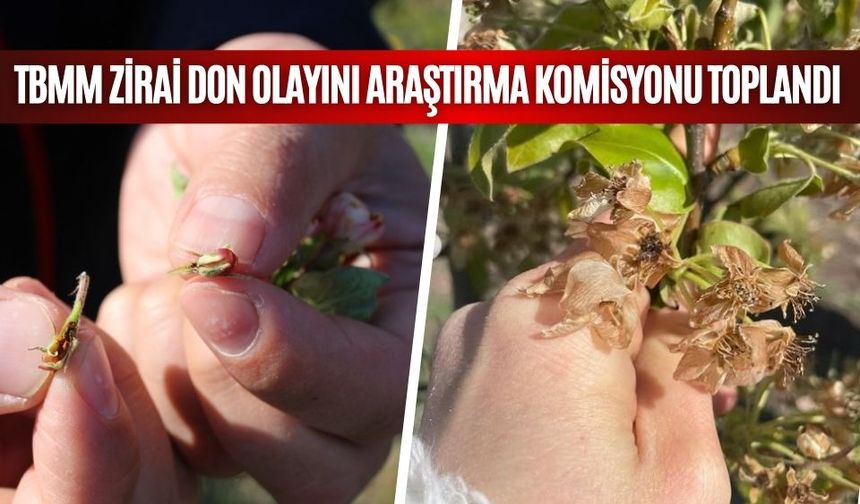 TBMM ZİRAİ DON OLAYINI ARAŞTIRMA KOMİSYONU TOPLANDI
