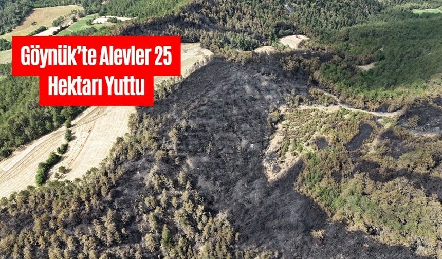 Göynük’te Alevler 25 Hektarı Yuttu