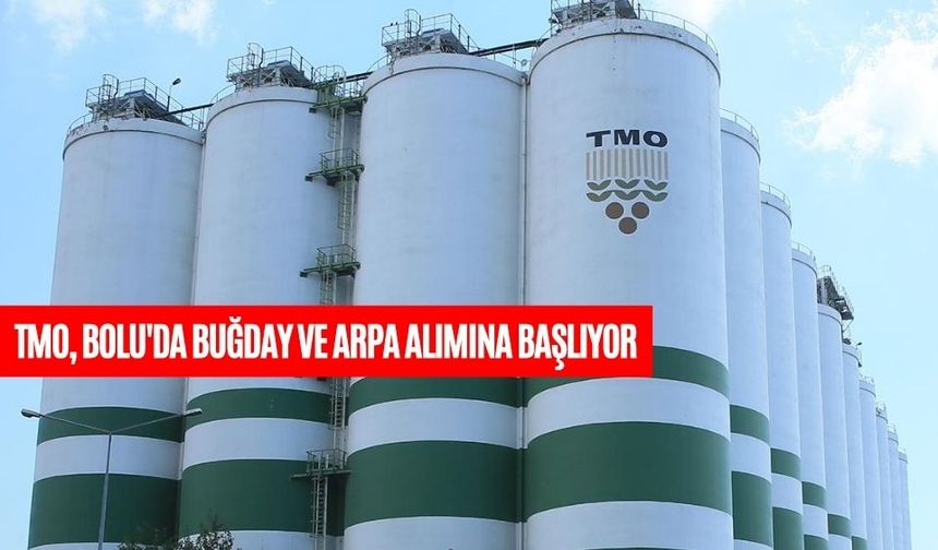 TMO, BOLU'DA BUĞDAY VE ARPA ALIMINA BAŞLIYOR