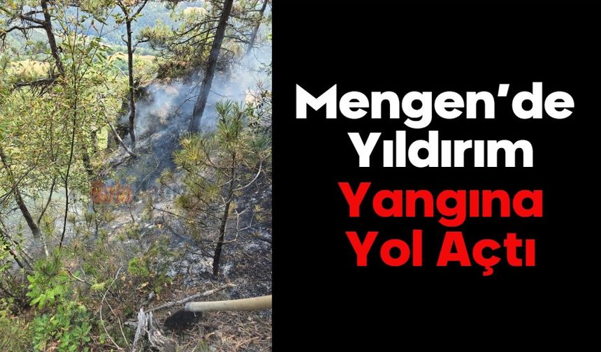 Mengen’de Yıldırım Yangına Yol Açtı