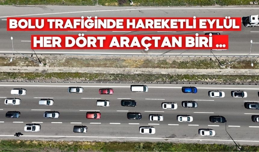 Hibrit ve Elektrikli Araçlar Bolu Yollarında Artıyor