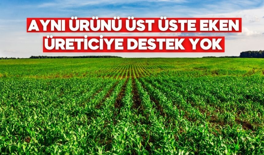 Bolu Tarım Müdürlüğü Açıkladı: Münavebe Kurallarına Uymayan Çiftçiye Ceza ve Destek Kesintisi