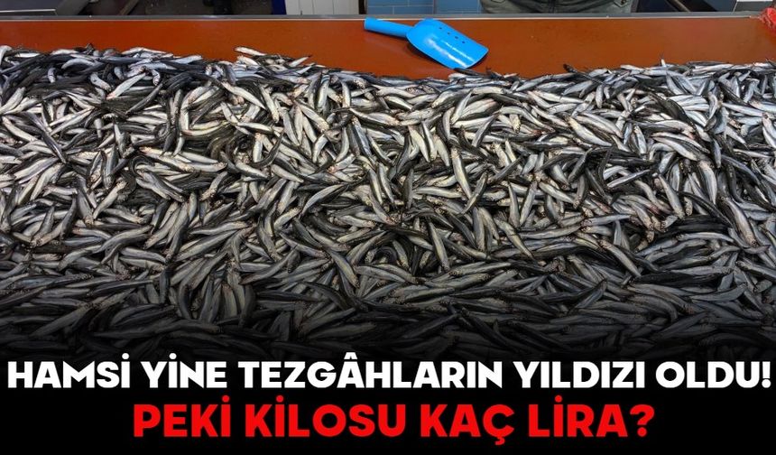 Hamsi Yine Tezgâhların Yıldızı Oldu! PEKİ KİLOSU KAÇ LİRA?