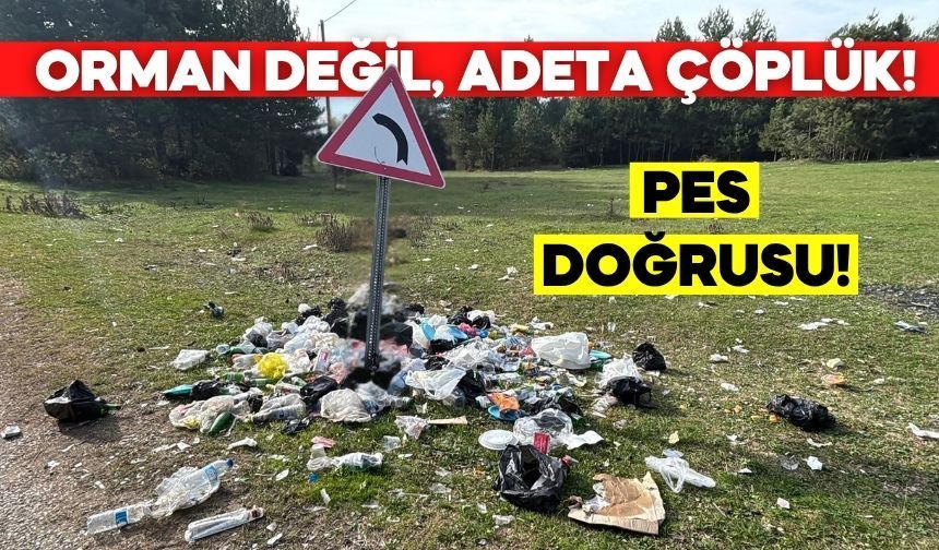 Bolu’da Mantar Toplayan Vatandaşlar Çöplerle Karşılaştı!