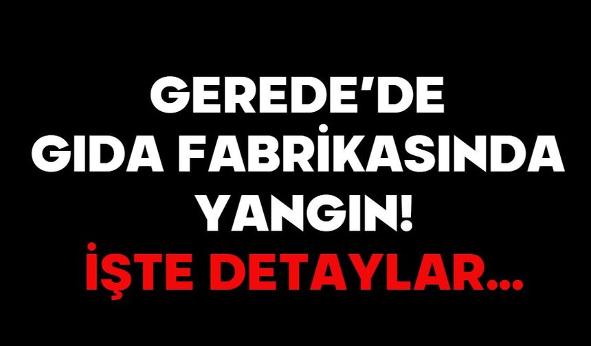 GEREDE’DE GIDA FABRİKASINDA YANGIN