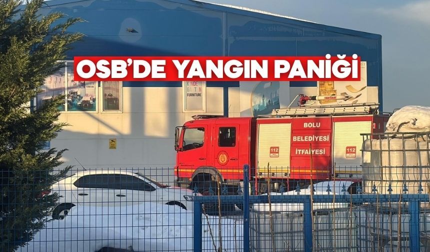 Bolu OSB’de Alevler Yükseldi, İtfaiye Soğutma Yaptı