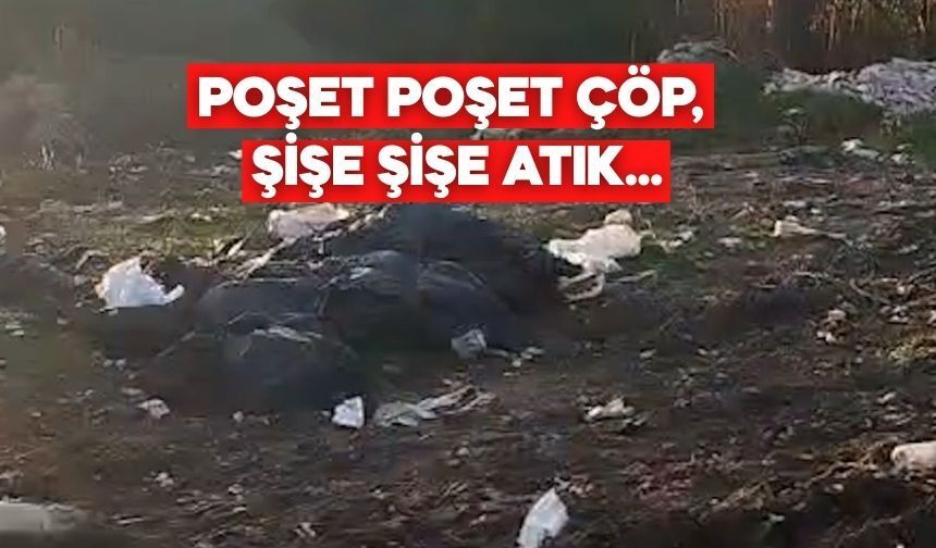 Bolu’daki O Görüntüler Sonrası Muhtar Devreye Girdi
