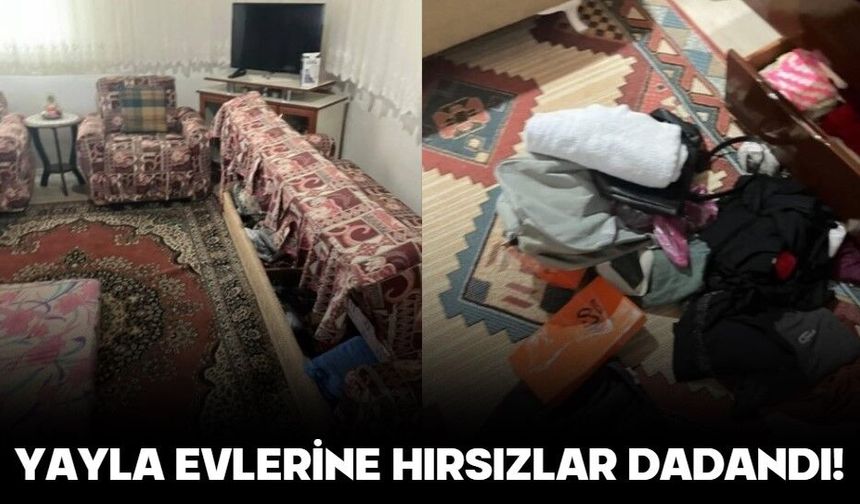 YAYLA EVLERİNE HIRSIZLAR DADANDI!