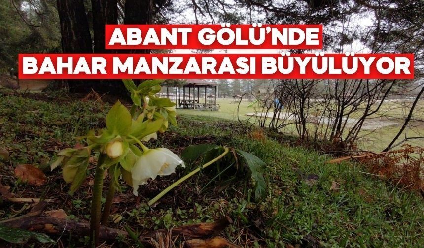 Bolu’da Bahar Abant’ta Kendini Gösterdi