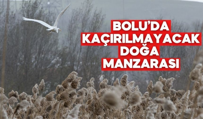 Göç Yolunun En Kritik Durağı Bolu’da