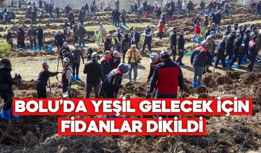 Bolu’da Orman Haftası Böyle Kutlandı! Yüzlerce Fidan Toprakla Buluştu