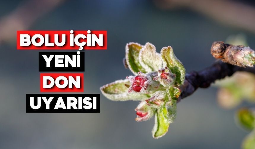 Bolu’da Don Tehlikesi İçin Bir Uyarı Daha Yapıldı