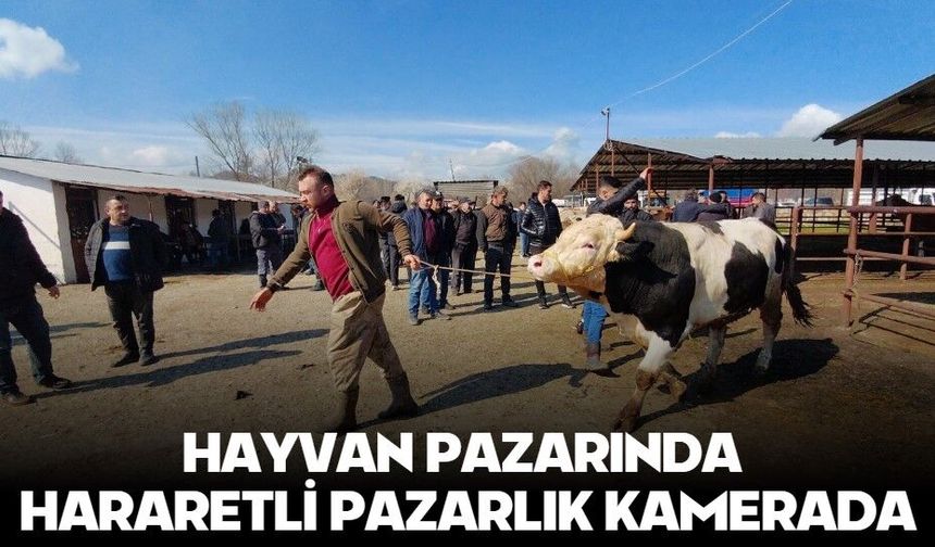 HAYVAN PAZARINDA HARARETLİ PAZARLIK KAMERADA