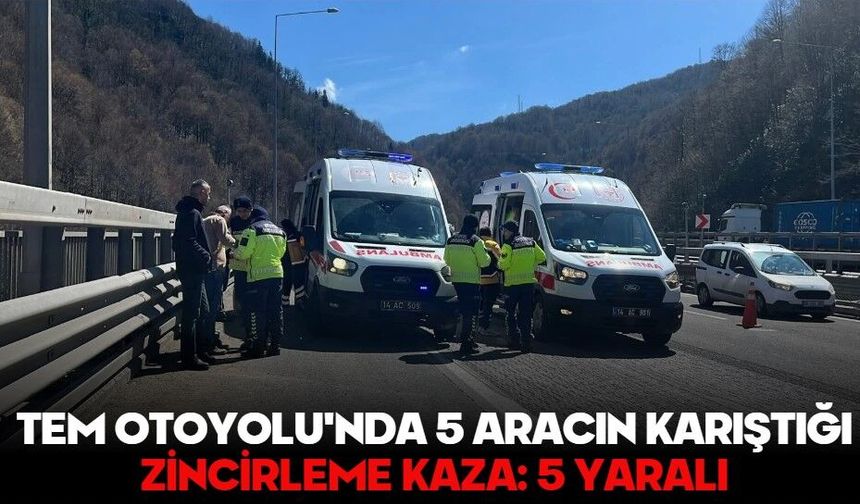 TEM Otoyolu'nda 5 aracın karıştığı zincirleme kaza: 5 yaralı