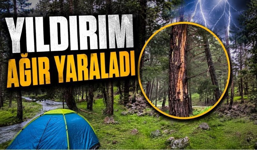 Bolu'da Yıldırımın Yaraladığı İki Kişinin Tedavisi Kocaeli'de Sürecek