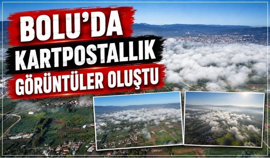 Bolu'da Tarım Arazileri Sisle Birlikte Masalsı Görünüme Büründü