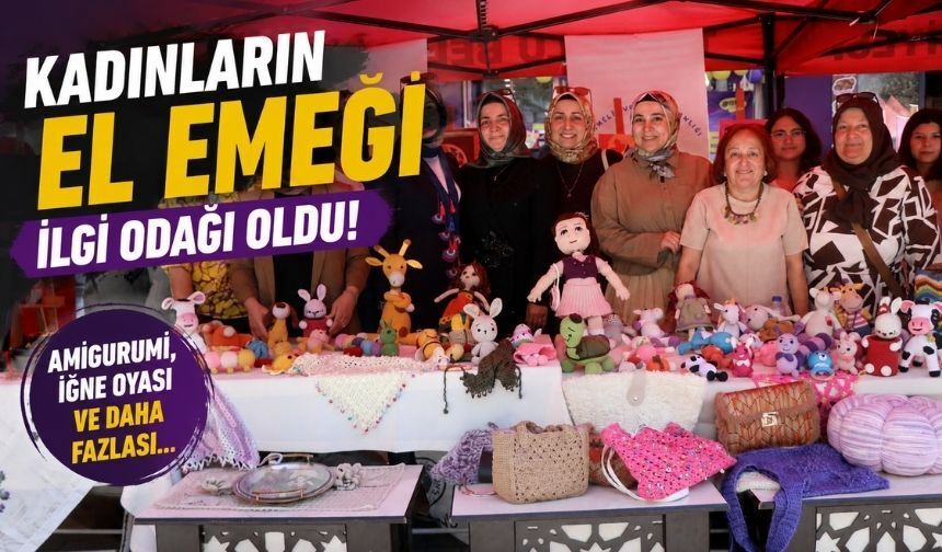 Bolu'da Kadınların Sabırla İşlediği Eserler Beğeni Topladı