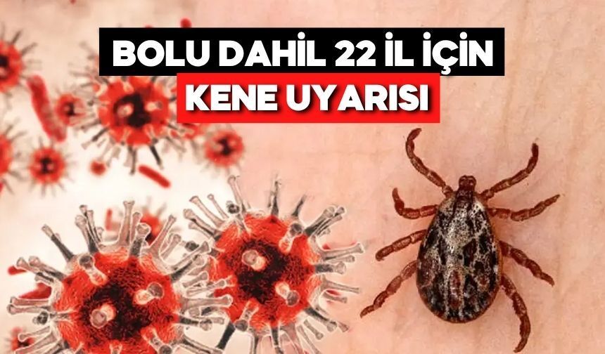 KKKA Riski Bolu’yu da Kapsıyor: Uzmandan Kritik Uyarılar