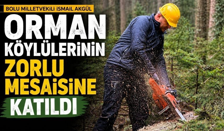 Bolu Milletvekili İsmail Akgül, Orman Köylülerinin Zorlu Mesaisine Katıldı