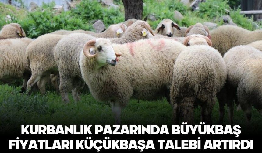 Kurbanlık pazarında büyükbaş fiyatları küçükbaşa talebi artırdı