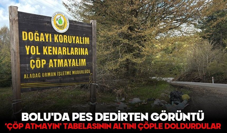 Bolu'da pes dedirten görüntü: ‘Çöp atmayın' tabelasının altını çöple doldurdular