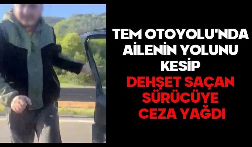 TEM Otoyolu'nda ailenin yolunu kesip dehşet saçan sürücüye ceza yağdı
