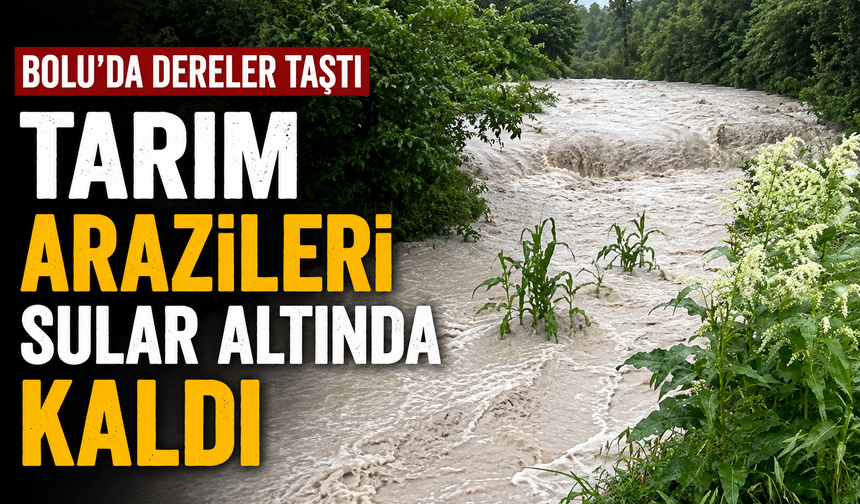 BOLU'DA DERELER TAŞTI, TARIM ARAZİLERİ SULAR ALTINDA KALDI