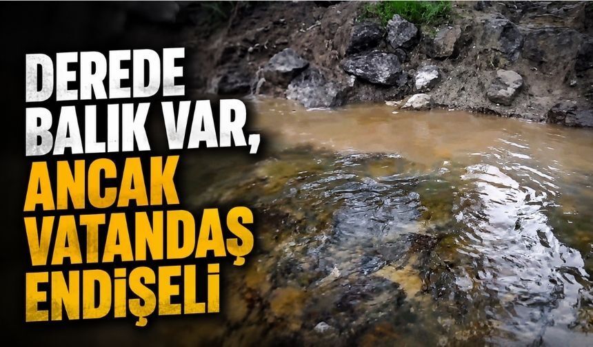 Vatandaşın Kamerasına Takıldı: Dereye Ne Karışıyor?