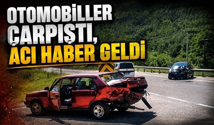 Bolu'da iki otomobilin çarpıştığı kazada 1 kişi öldü, 1 kişi yaralandı