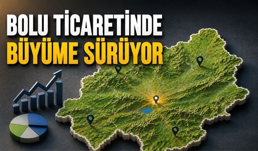 Bolu'da Kurulan Şirket Sayısı Kapananları Geçti