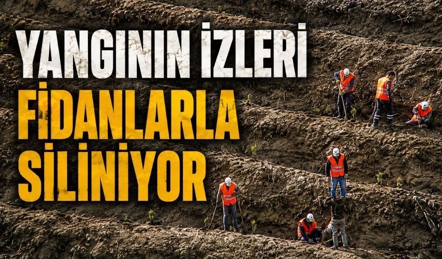 Bolu'da Binlerce Hektarlık Alan Yeniden Hayat Buluyor
