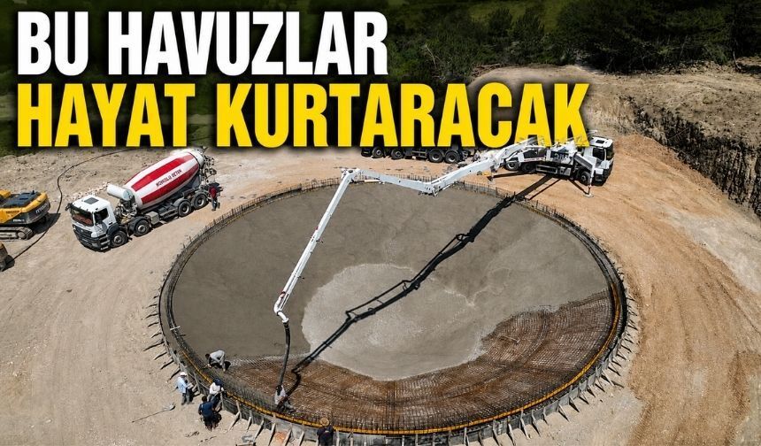 Bolu'da 800 Tonluk Dev Yapılar Ormanları Koruyacak