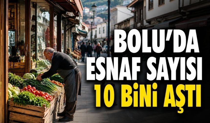 Bolu'da Esnafın En Büyük Sorunu Finansman ve Vergi Yükü