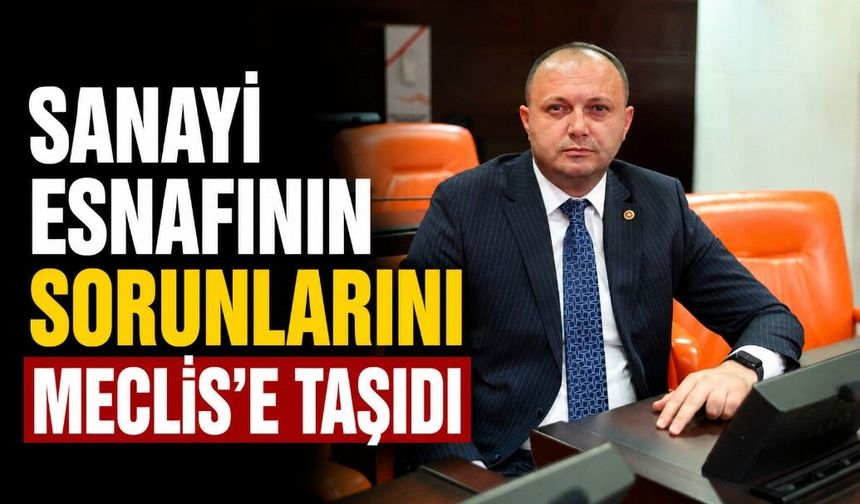 SANAYİ ESNAFININ SORUNLARINI MECLİS'E TAŞIDI