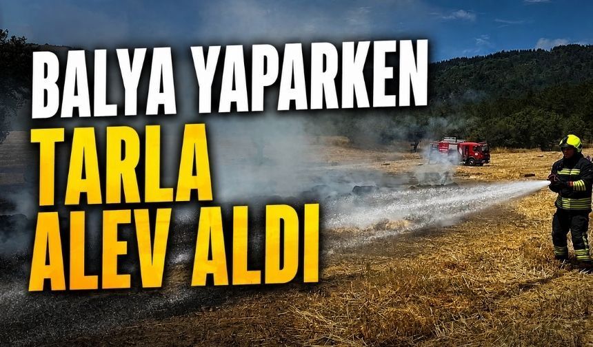 Bolu'da Kuru Otlar Tutuştu, Alevler Tarlaya Yayıldı