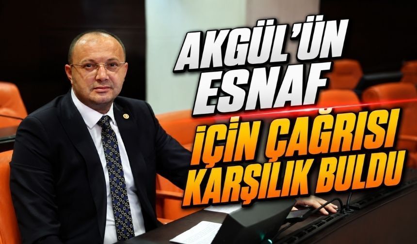 “Borcu Olmayan Esnaf Neden Kredi Çeksin?” Demişti, Düzenleme Geldi