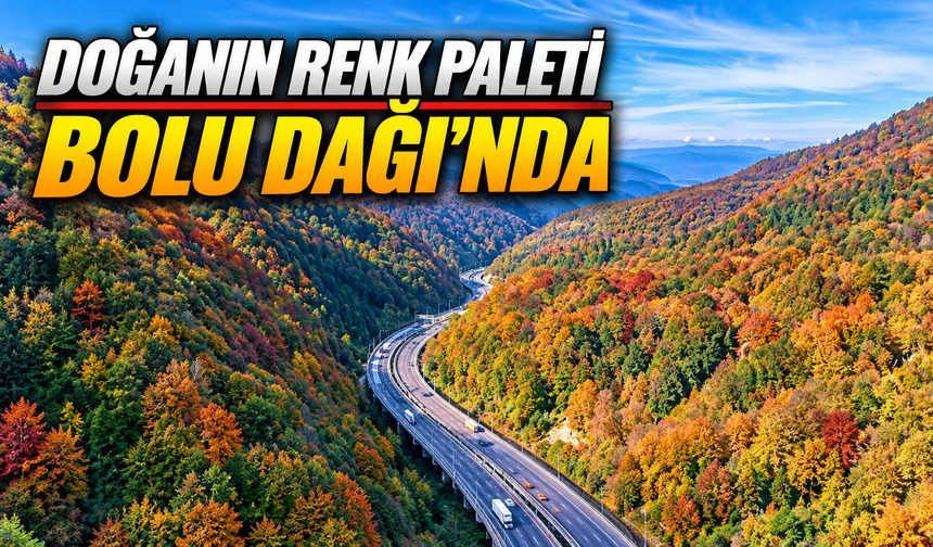 Bolu Dağı’ndan Geçenler Bu Manzaraya Hayran Kalıyor