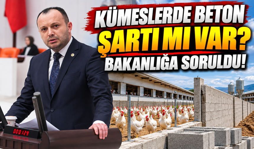 Akgül’den Bakanlığa: Bolu’da Kaç Kümese Yaptırım Uygulandı?
