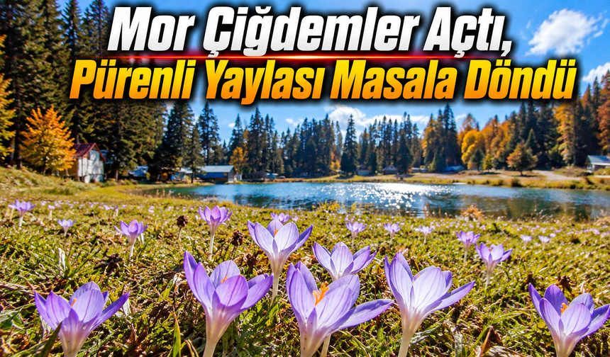 Doğa Sonbahar Elbisesini Giydi, Pürenli Renklendi